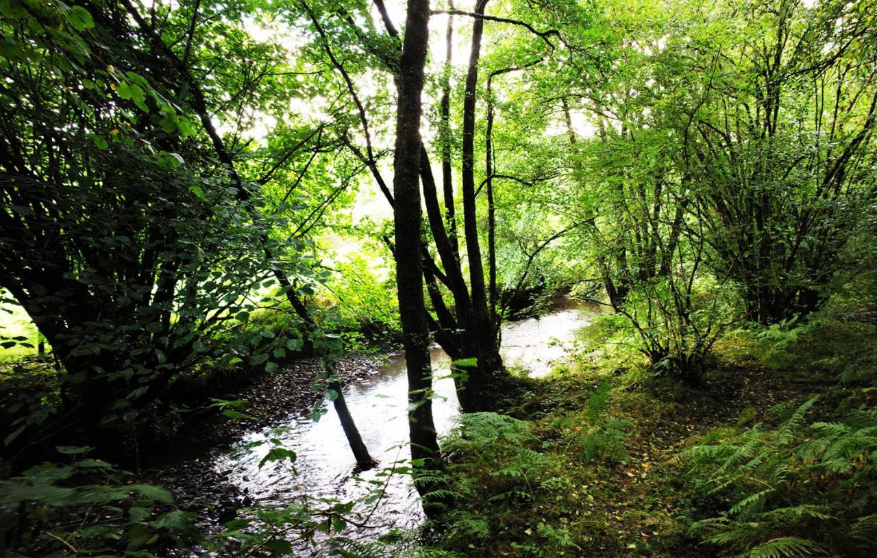 Aldridge Mill Hotel Oakford ภายนอก รูปภาพ